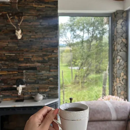 Uvacka Tisina * סייניצה